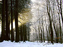 Weisse Mauer_001