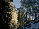 Weisse Mauer_002