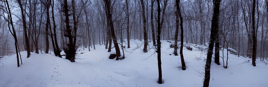 Pan_Huenerberg-Winterwald_03_900