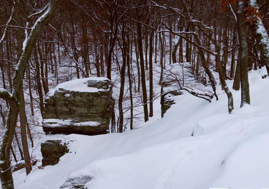 Pan_Huenerberg-Winterwald_09-900