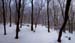 Pan_Huenerberg-Winterwald_02_900